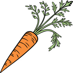 Vector Illustration of a Carrot, vector art style