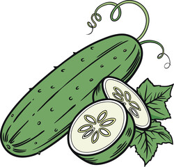 Vector Illustration of a Cucumber,  vector art style