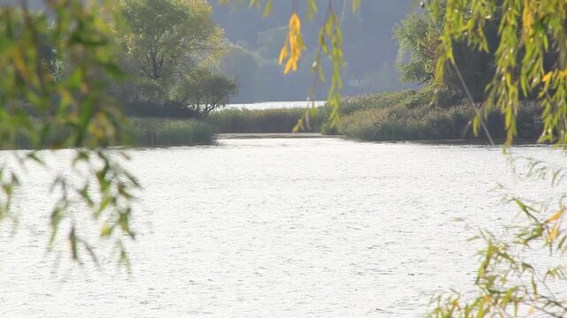 Ukraine. Zhytomyr region. Lake shore. Autumn. 21.09.2024