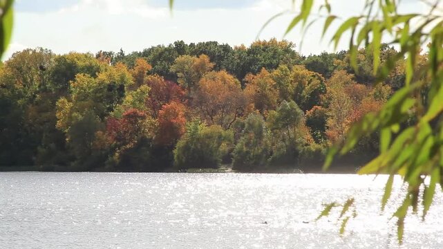 Ukraine. Zhytomyr region. Lake shore. Autumn. 21.09.2024