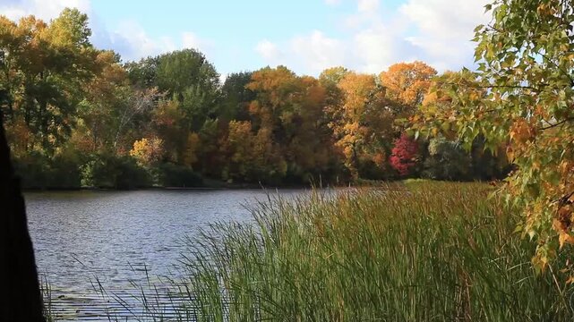 Ukraine. Zhytomyr region. Lake shore. Autumn. 21.09.2024