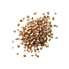 Roasted Barley Grains Scattered on Black Background