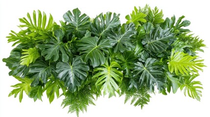 Lush Tropical Greenery Arrangement: A vibrant collection of assorted lush green leaves