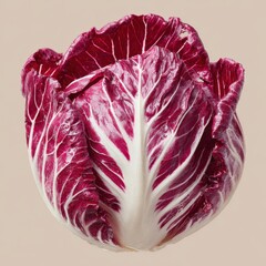 Obraz premium Radicchio Head Close-up Isolated for Food Prep & Salad Ingredient on Neutral Back