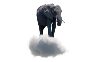 Elephant balancing on a cloud isolated on white, transparent