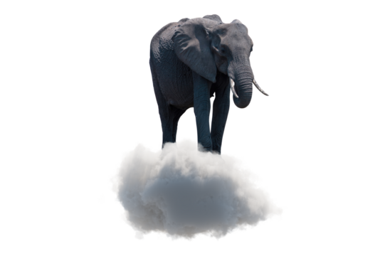 Elephant balancing on a cloud isolated on white, transparent