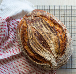 Top view photo of freshly baked sourdough banneton bread on a cooling rack with cotton cloth modern...