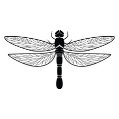 dragonfly silhouette design. insect sign and symbol.
