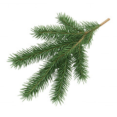 Obraz premium Photorealistic illustration of a Nativity fir Winter branch, ideal for christmas projects, with transparent background