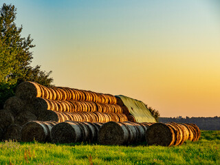Strohrollen lagern auf einem Feld