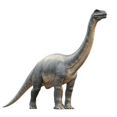 Obraz premium Sauropod Dinosaur Illustration