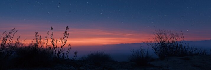 Naklejka premium Tranquil desert sunset with silhouetted bushes and starlit evening sky