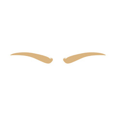 Brown eyebrows styles. Beauty blonde eyebrow shapes designs. Vector illustration.