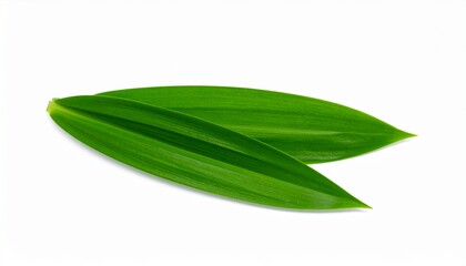 Hyper Realistic Close-up of Fresh Pandan Leaves on White Background for Food Ingredient Editorial Use