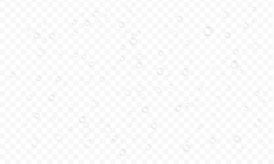 Obraz premium Realistic water drops. PNG drops, condensation on the window, transparent water drop. Abstract water drops, bubbles on transparent background, digital liquid design, Stock royalty free. 