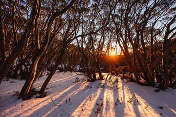 Mt St Gwinear Sunrise in Australia