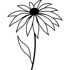 black and white flower