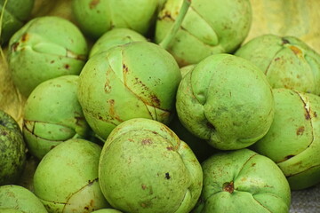 Elephant apple or dillenia indica fruit on indian local market