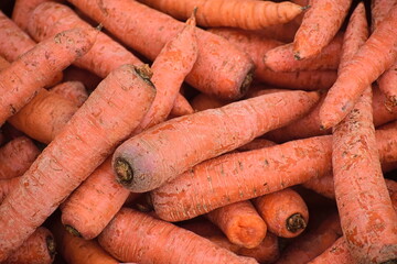 Fresh carrots on a shelf for sale.