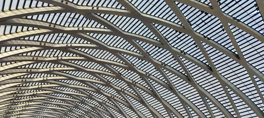 Captivating Architectural Design: A Study of Elegance and Structure in Modern Spaces