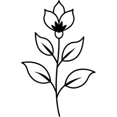 black and white flower