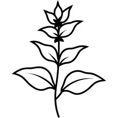 silhouette of a tree