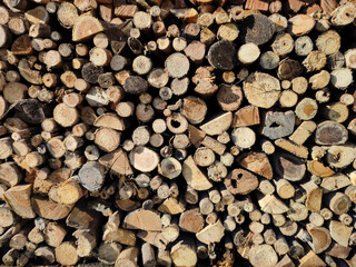 Captivating Texture of a Diverse Woodpile for Rustic Aesthetic Appeal