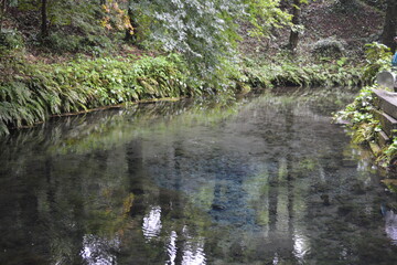 熊本の湧水