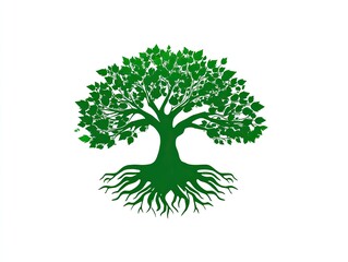 Obraz premium Green tree silhouette with extensive roots against a white background