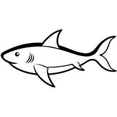 Fototapeta premium vector illustration of a shark