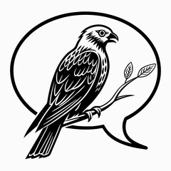 Obraz premium bird of prey