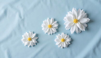Obraz premium Four delicate white daisy shaped cookies with yellow centers on a pastel blue fabric background