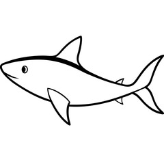 Obraz premium shark vector illustration