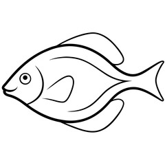 fish vector illustration