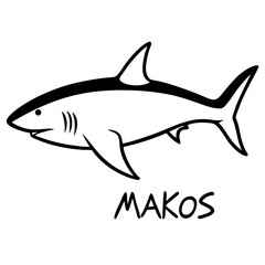 Obraz premium shark vector illustration