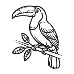Simple line drawing of a toucan perched on a branch