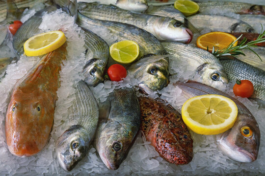 Mediterranean seafood. Different fresh raw fishes  on ice in market.  Slices of lemon, orange