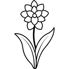 Fototapeta premium vector illustration of a flower