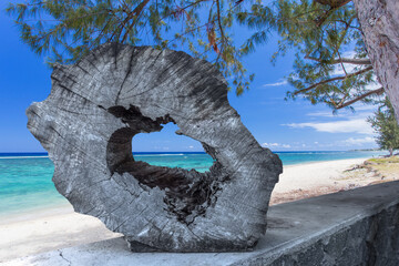 Sculpture bois île de la Réunion, plage de L’Hermitage, 