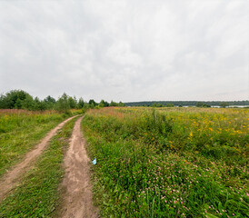 Country road in the field