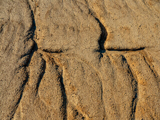 Risse Furchen und Vegetation im Lehmboden