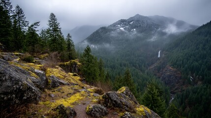 Mountainous Viewpoint Of Misty Forest Landscape