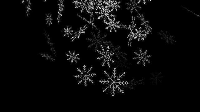 Real Snow Falling on Black Background in Cold Winter Season &ndash; Looping Video