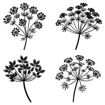 Four floral arrangements with unique flower and leaf shapes in a monochrome black and white illustration
