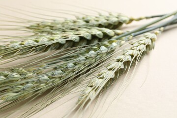Many green wheat spikes on beige background, closeup