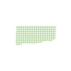 Checkered ripped paper. Vector illustration.