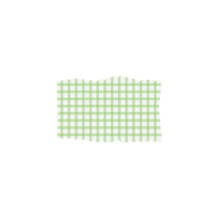 Checkered ripped paper. Vector illustration.