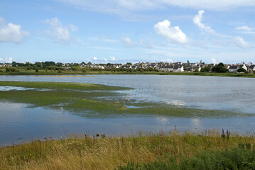 reserve naturelle des marais de Pen Mané; Locmiquélic; 56, Morbihan, France