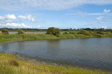 reserve naturelle des marais de Pen Mané; Locmiquélic; 56, Morbihan, France