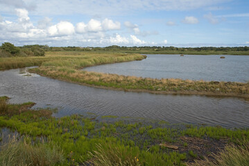 reserve naturelle des marais de Pen Mané; Locmiquélic; 56, Morbihan, France